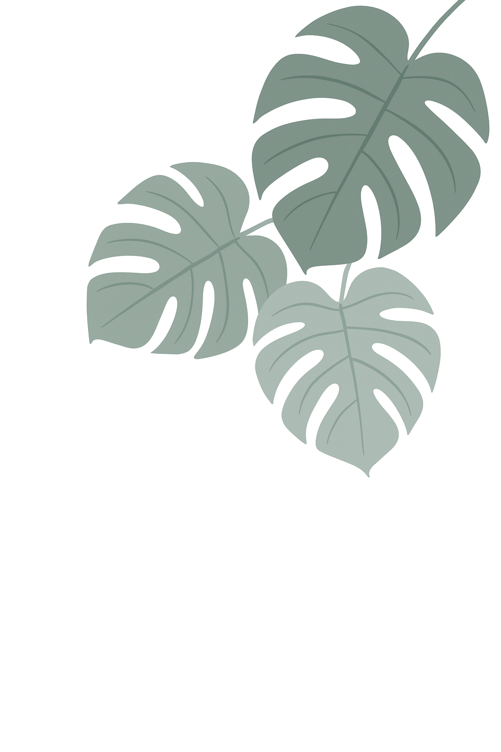 Monstera